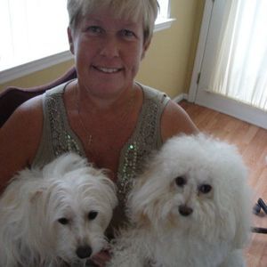 Meet your Posher, Barbara